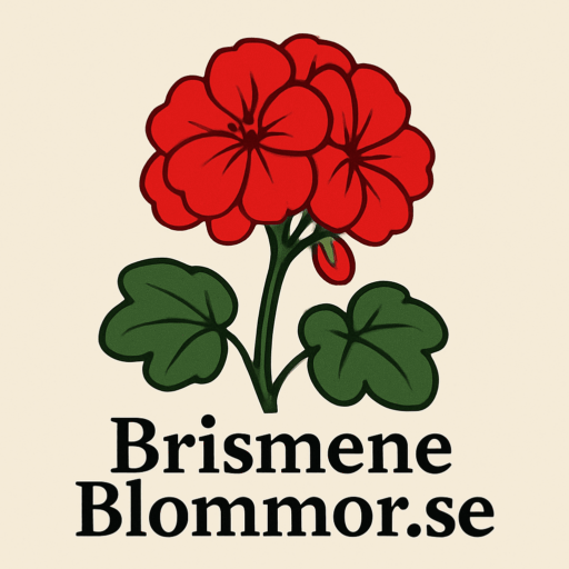Brismene Blommor